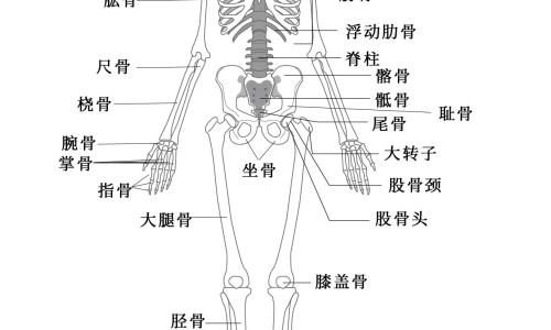 孕妇左侧子宫动脉舒张早期切迹变浅-孕妇左侧子宫动脉s网孕妇左侧子宫动脉舒张早期切迹是什么意思知识网站,分享孕妇左侧子宫动脉舒张早期呈切迹样改变并PI值偏高大全